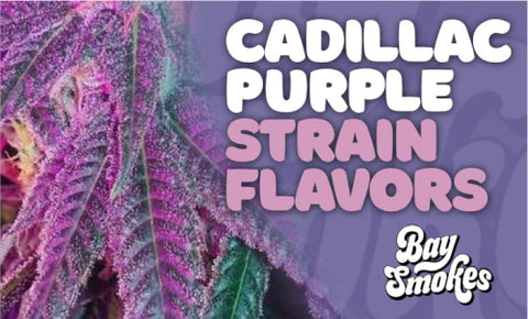 Cadillac Purple strain flavors