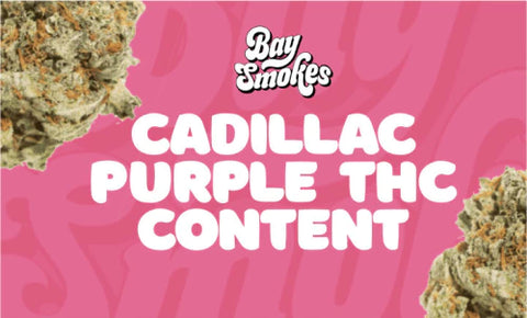 Cadillac Purple thc content