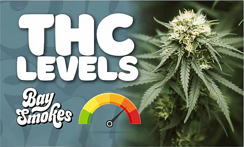 Cherry Chem thc levels