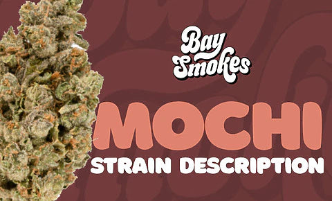 Mochi strain description