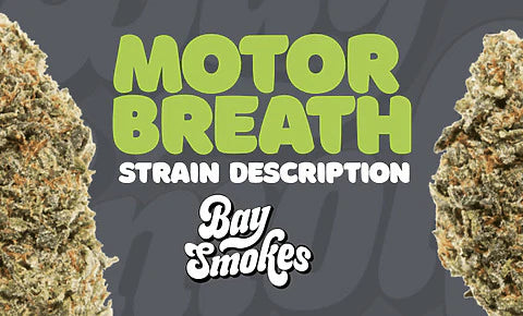 Motor Breath strain description