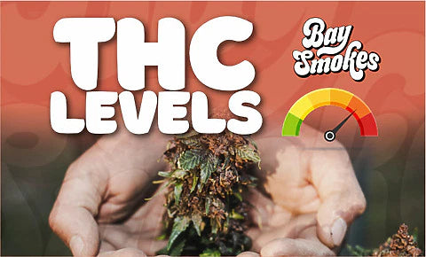 Motor Breath thc levels