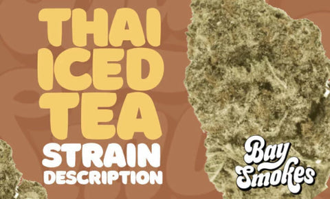 Thai Iced Tea Strain