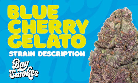 Blue Cherry Gelato strain description– THCa Flower