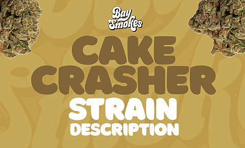 Cake Crasher Strain Description– THCa Flower