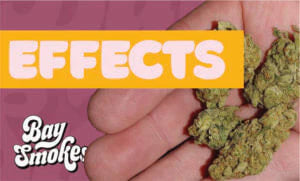 Cap Junky – THCa Flower Effects