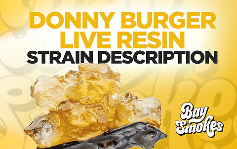 Donny Burger Live Resin THCa Diamonds strain description