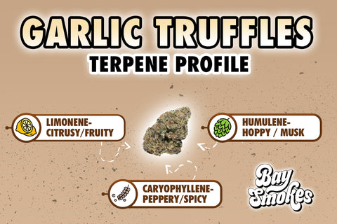 garlic truffles terpene profile