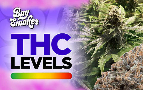 Grape Frosty THC Levels