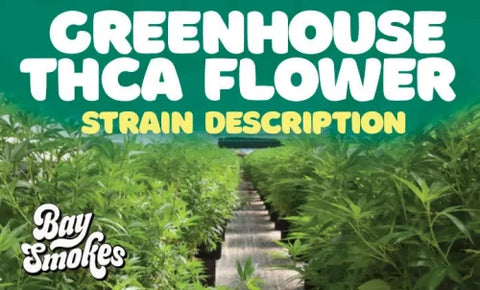 Greenhouse THCa Flower strain description