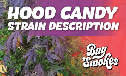 Hood Candy strain description