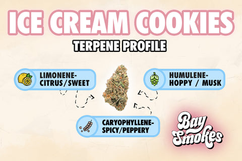 ice cream cookies terpene profile