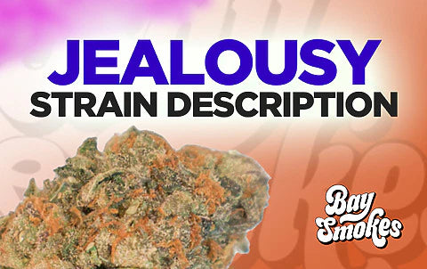 Jealousy – THCa Flower strain description