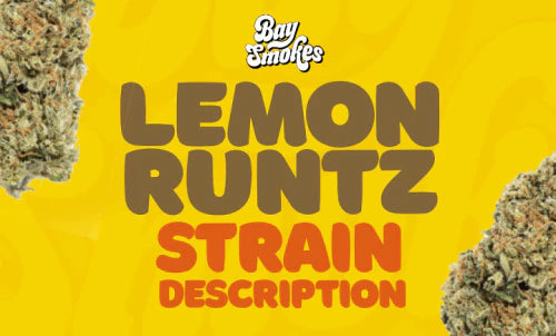 lemon runtz strain description