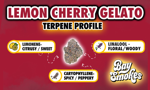 lemon cherry gelato terpence profile