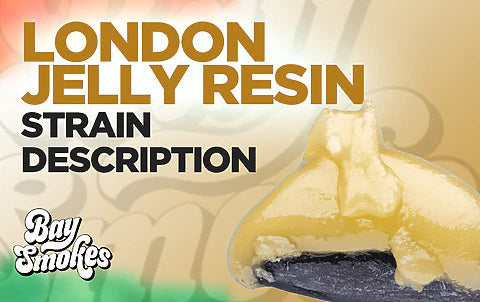 London Jelly THCa Live Hash Rosin description