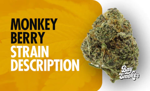 Monkey Berry Strain Description