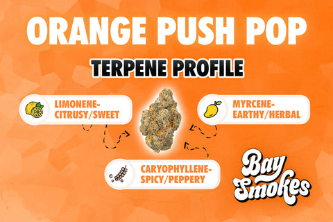 orange push pop terpene profile