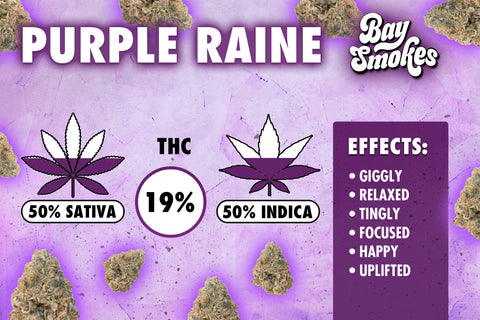 purple raine effects