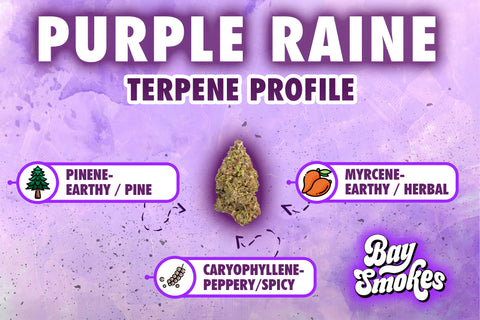 purple raine terpene profile