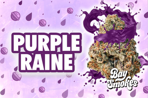 purple raine thca