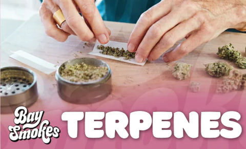 london pound terpenes