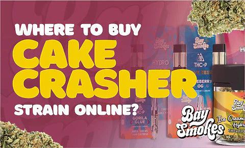 Where to buy Cake Crasher strain online