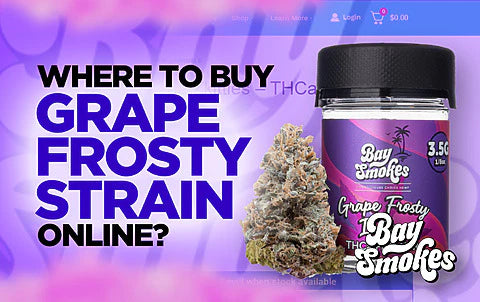 Where to buy Grape Frosty