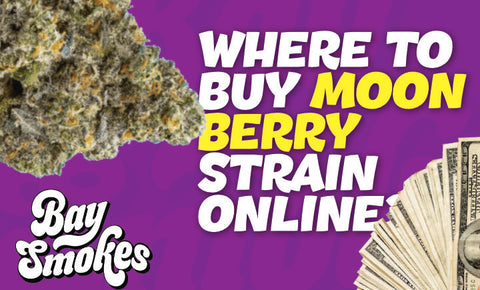 where to buy Moon Berry Strain