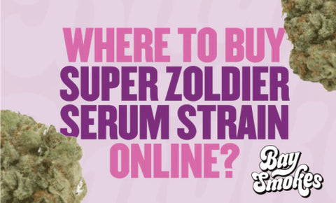 where to buy Super Zoldier Serum THCa Flower online