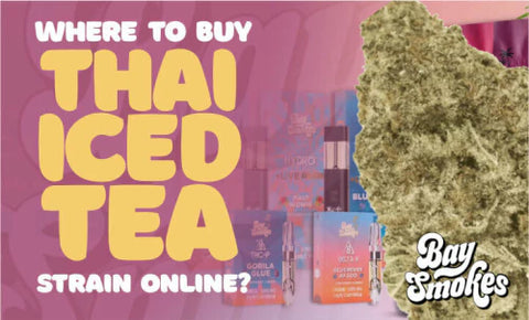 where to buy Thai Iced Tea Strain