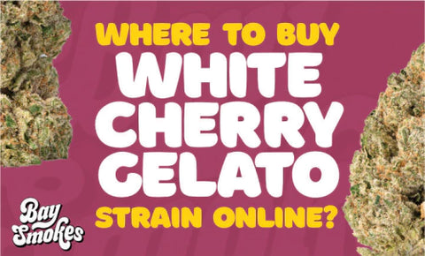 where to buy White Cherry Gelato strain online