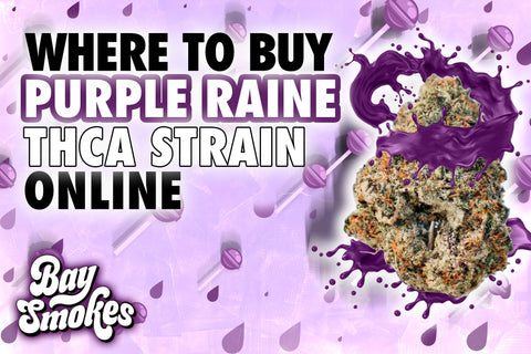 where to buy purple raine thca strain online