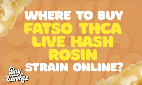 where to buy Fatso THCa live hash rosin