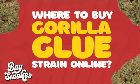 where to buy Gorilla Glue