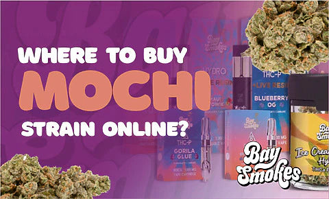 where to buy Mochi
