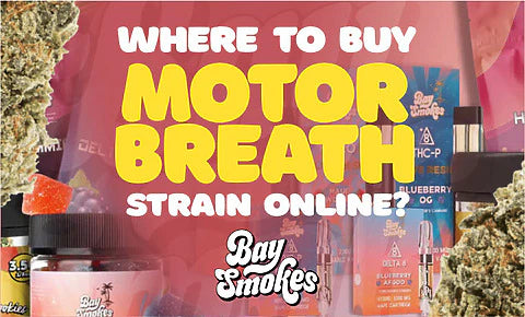 where to buy Motor Breath