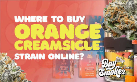 where to buy Orange Creamsicle