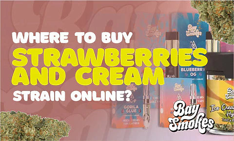 where to buy Strawberries and Cream