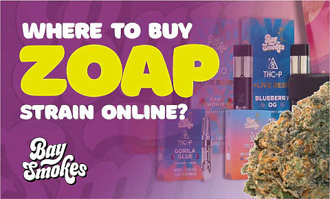 where to buy Zoap