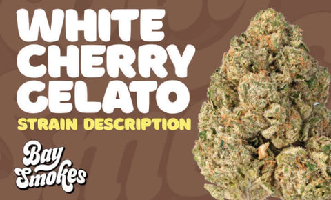 White Cherry Gelato strain description