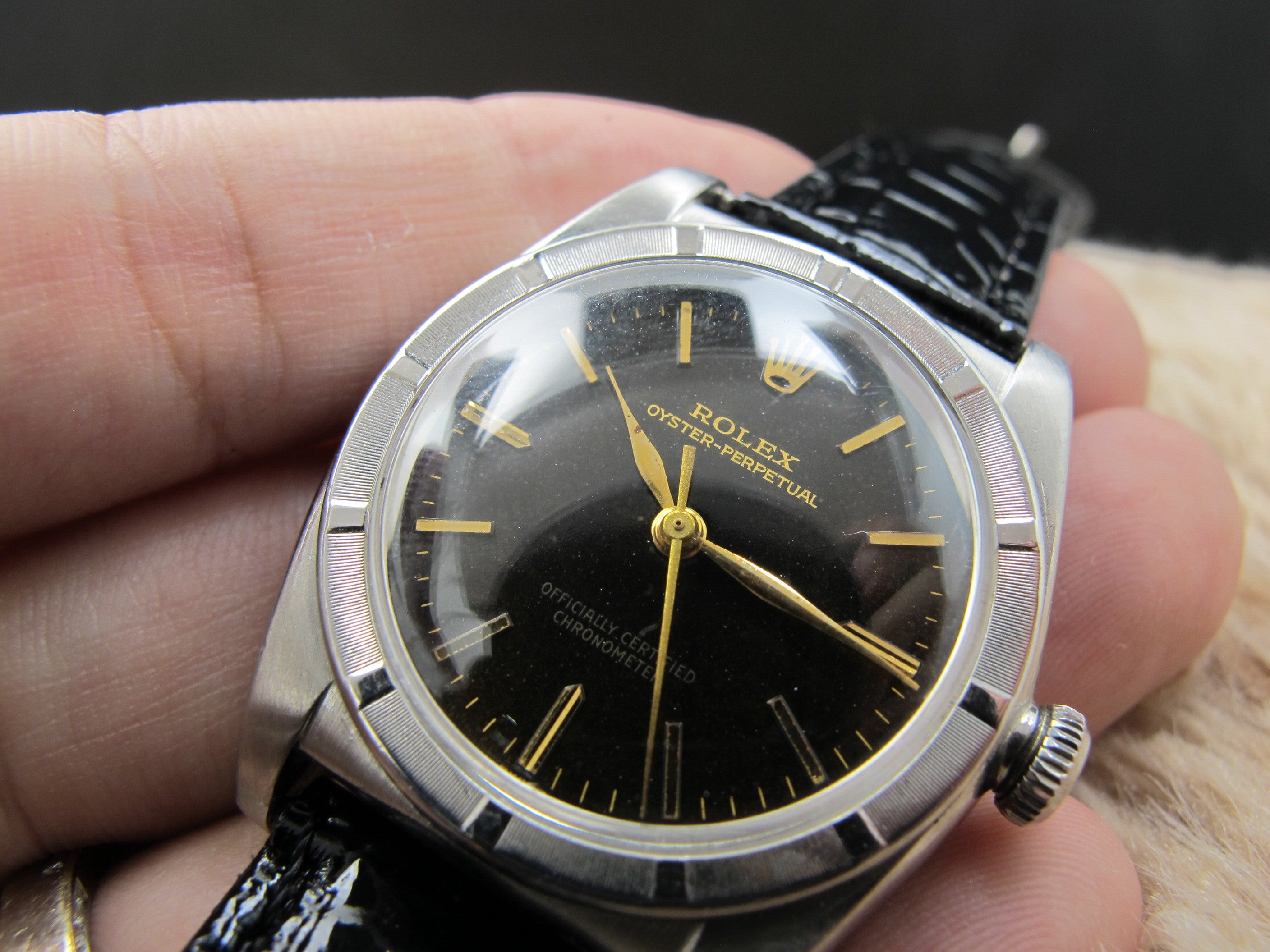 1949 Rolex BUBBLEBACK 3372 with Glossy Tropical Gilt | Alex Pig Timepieces