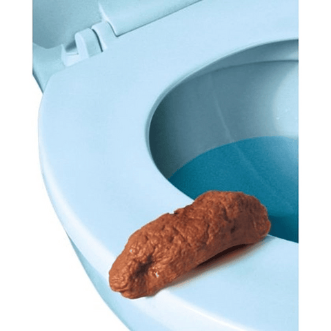Loftus fake toilet seat poo Toilet seat prank