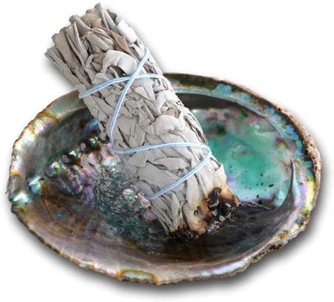 ABALONE SHELL BURNER