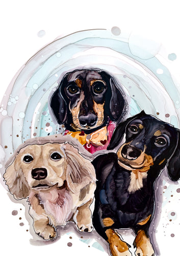 Crusoe, Daphne and Oakley – didART studio