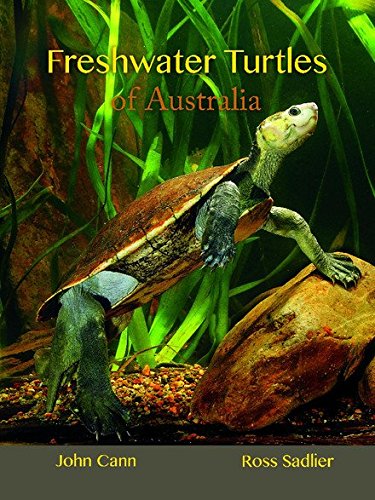1) Freshwater Turtles of Reptilemart.ca