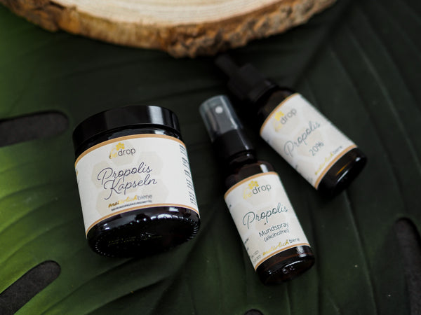 Propolis Tinktur und Propolis Kapsel