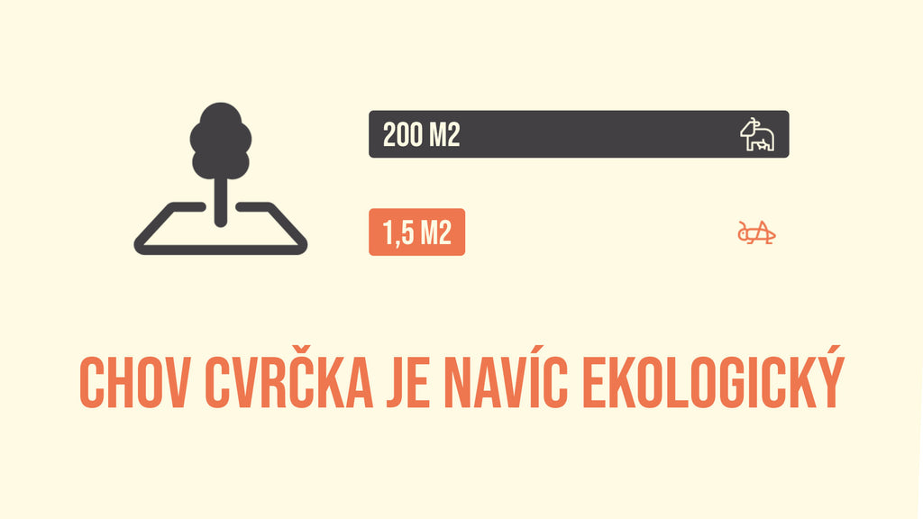 Chov cvrčka je navíc ekologický