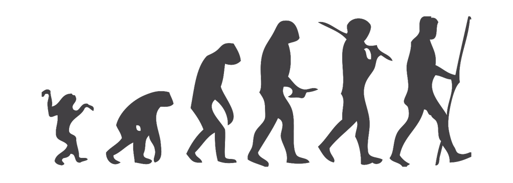 Evoluce člověka