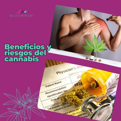 Beneficios y riesgos del cannabis